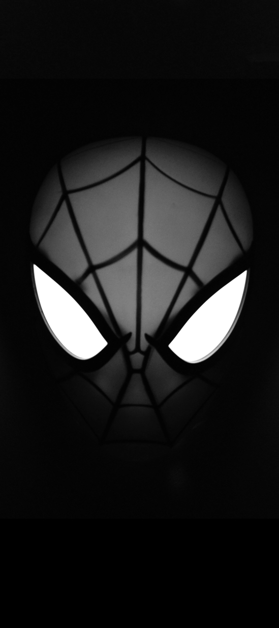 SPIDEY IN THE SHADOWS